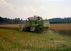 Claas Drescher 12